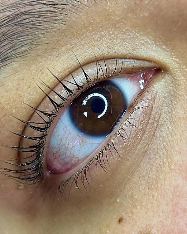 Ojo café en primer plano con pestañas naturales levantadas y oscuras, efecto Lash Botox
